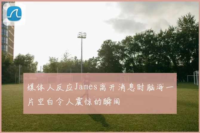 媒体人反应James离开消息时脑海一片空白令人震惊的瞬间